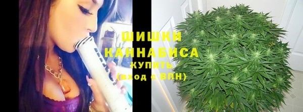 spice Кулебаки